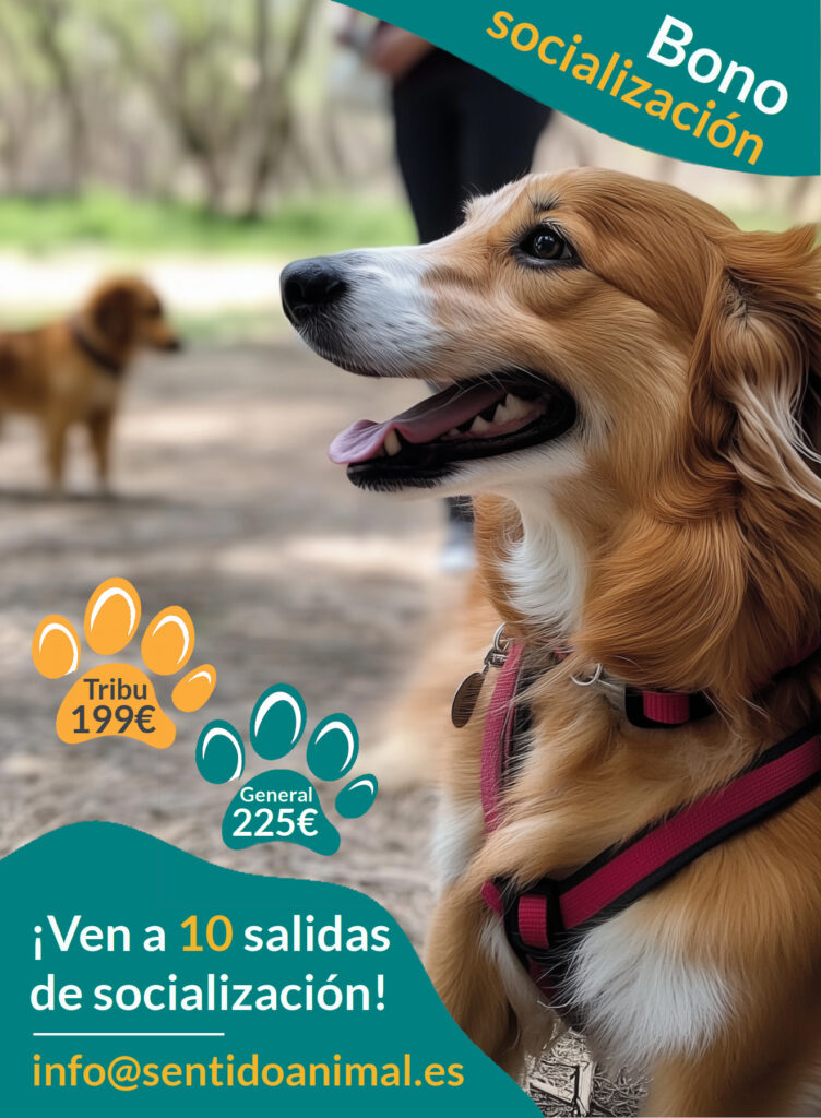 Bono salidas de socialización: Tribu 199 € / General 225 € / 10 salidas de socializaicón al año.