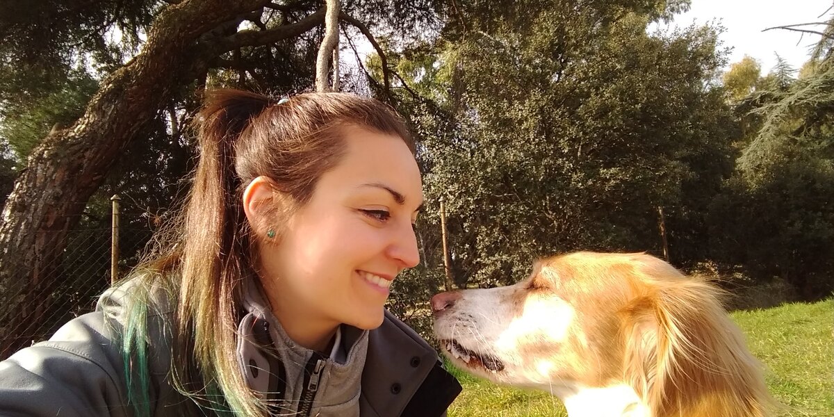 Educadora canina y perro cara a cara, en calma