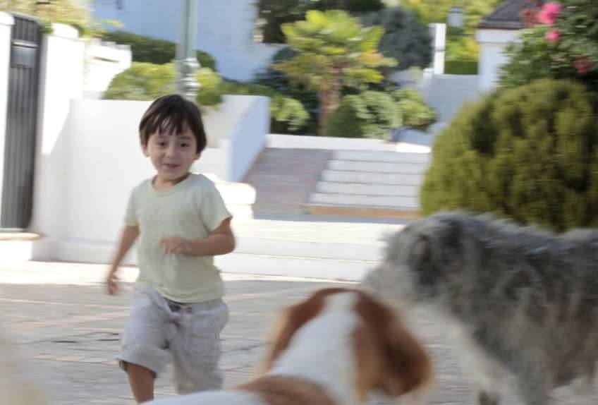 Niño jugando con perros