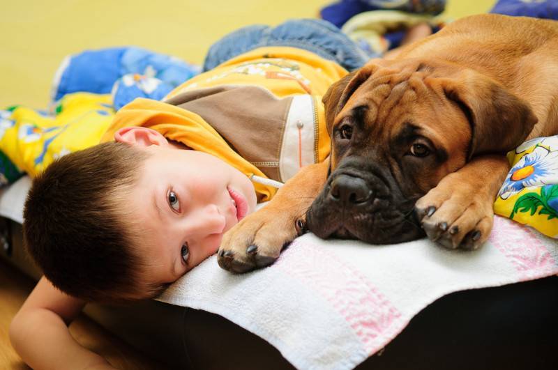 Similitudes entre educar a un niño y a un perro