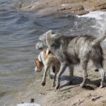 Neska y Noa a punto de lanzarse al agua