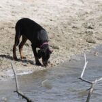 Beamish intimando con el embalse