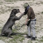 Kringer y Sandra llegando a un acuerdo...