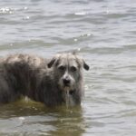 Noa a punto de zambullirse