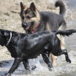 Energía en su estado puro