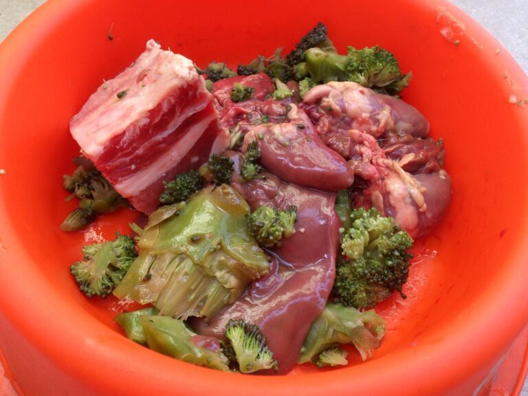 Barf Plato De Comida Natural
