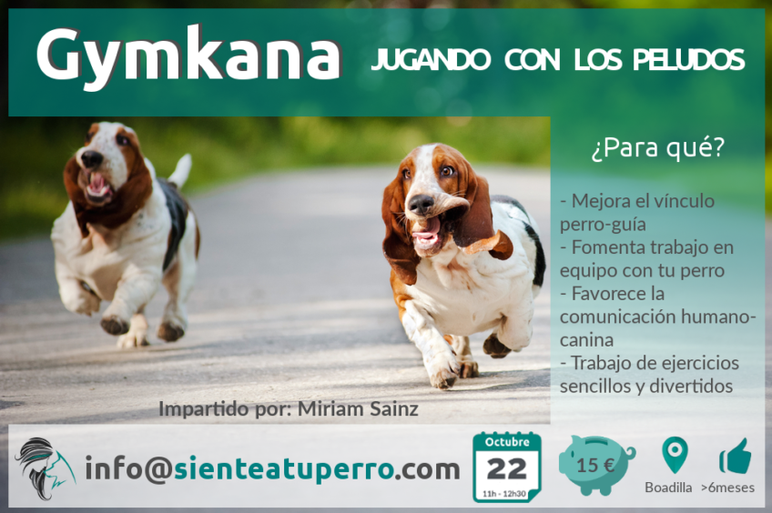 Gymkana_oct2017