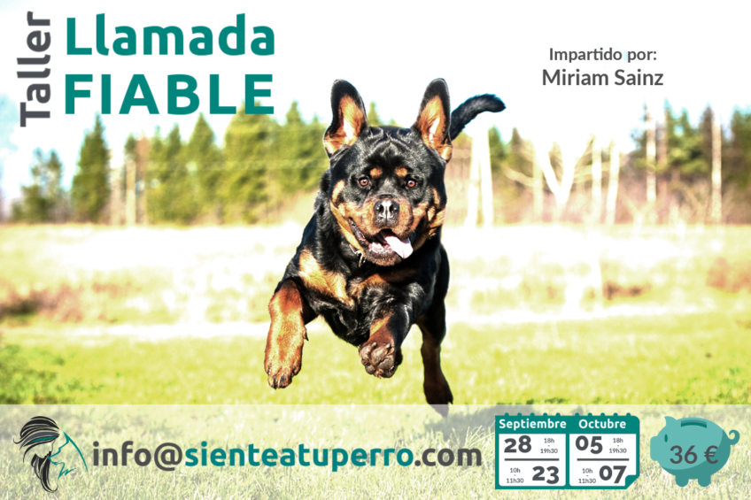 Llamada fiable taller_sept17