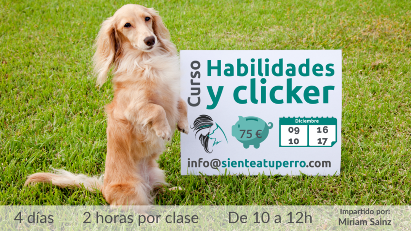 Habilidades y clicker curso de adiestramiento canino