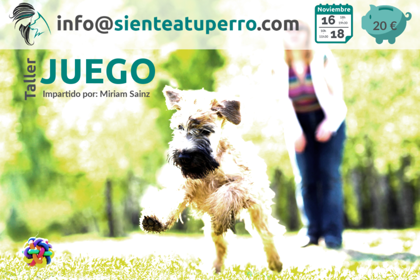 Taller de juego