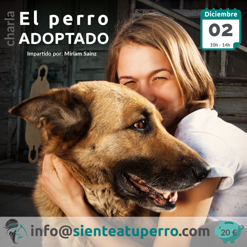 Perro adoptado charla