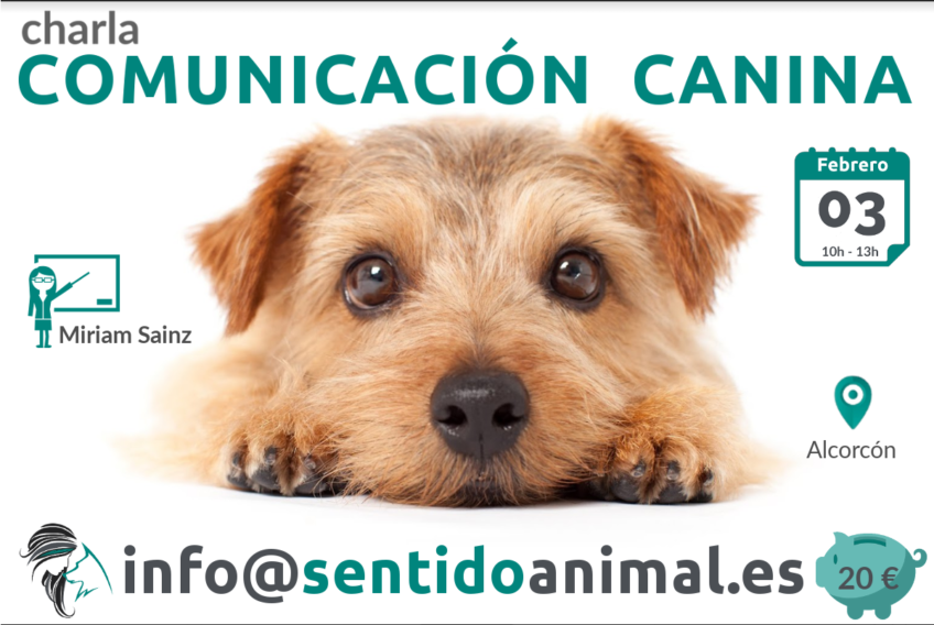 Charla de comunicacion canina