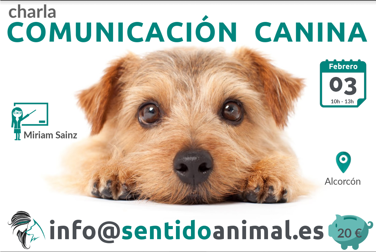 Charla: Comunicación canina