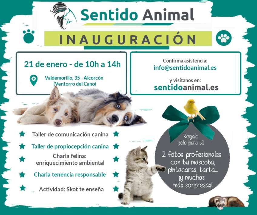 Fiesta de inauguración - Sentido Animal