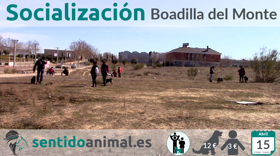 Socialiacion-abr18