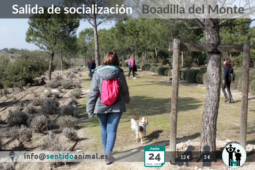 Socializacion canina Boadilla del Monte 2018-06-24
