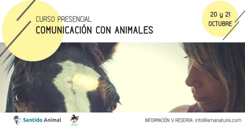 Curso de Comunicación animal