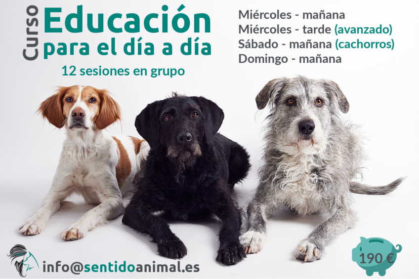 Educacion para el día a día septiembre 2018 - octubre 2018 - noviembte 2018