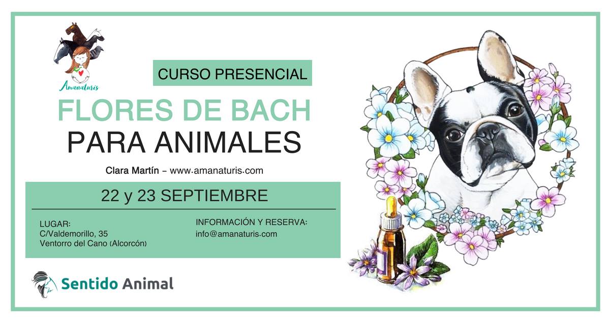 Curso Presencial de Flores de Bach para Animales