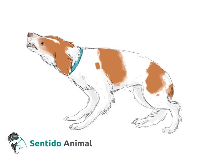 04 Amenazado