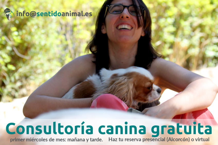 Consultoría canina gratuita