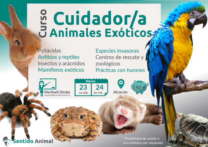 Curso de animales Exoticos