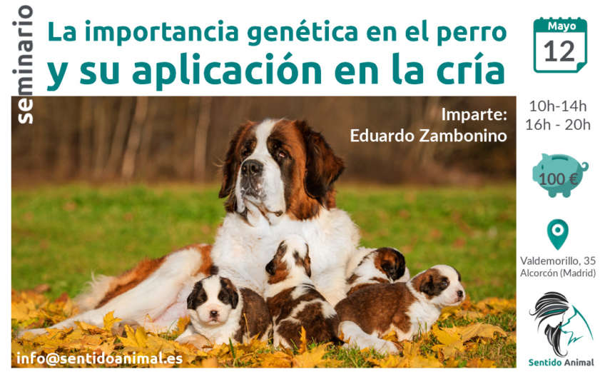 Importancia genética en el perro y su aplicación en la críaseminario