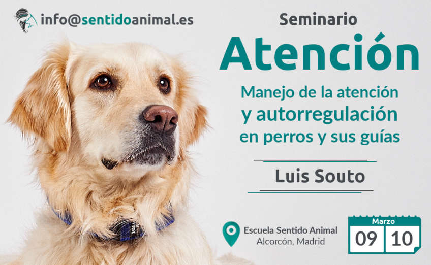 Seminario de Atencion Luis Souto