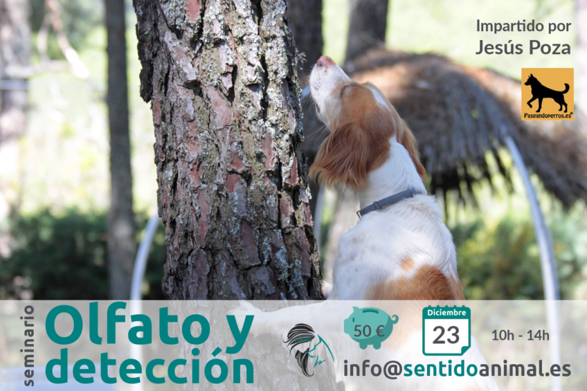 Olfato y detección - seminario Escuela Sentido Animal