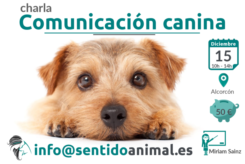 Comunicacion canina