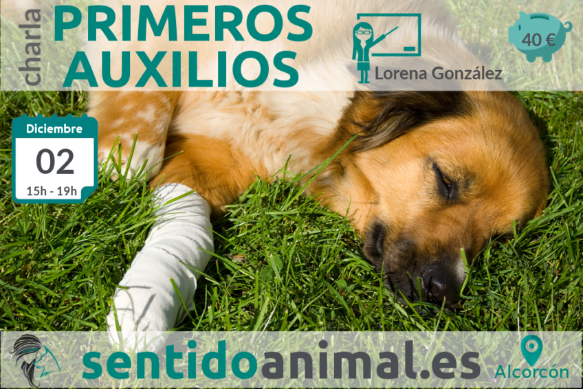 Primeros auxilios en perros charla