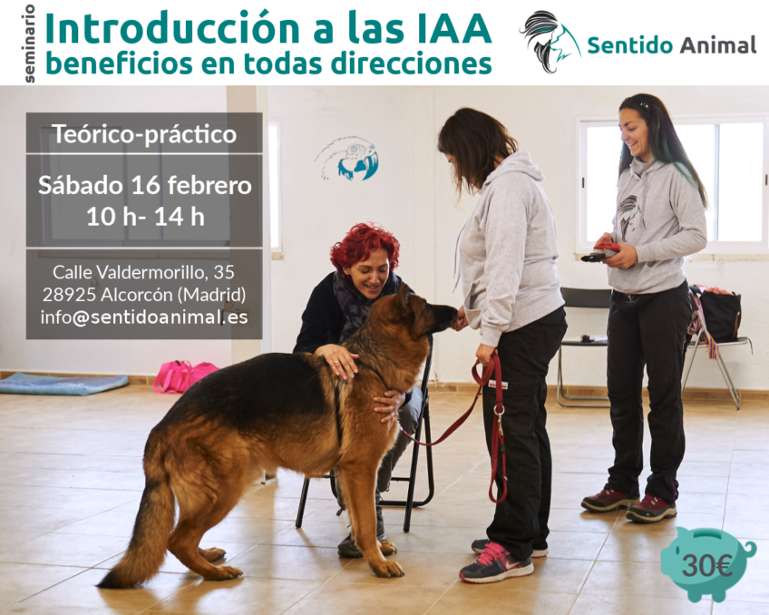 seminario: Introducción a las IAA