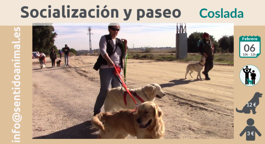 2019-02-06_Coslada salida de socialización canina