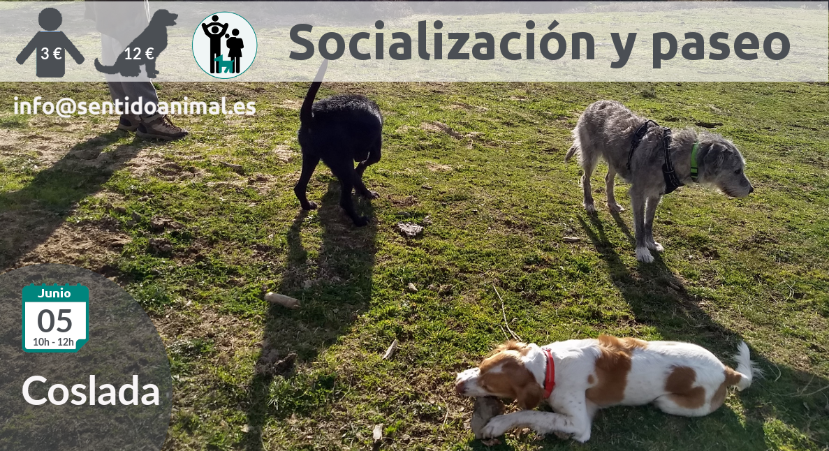2019-05-08_Coslada salida de socialización canina