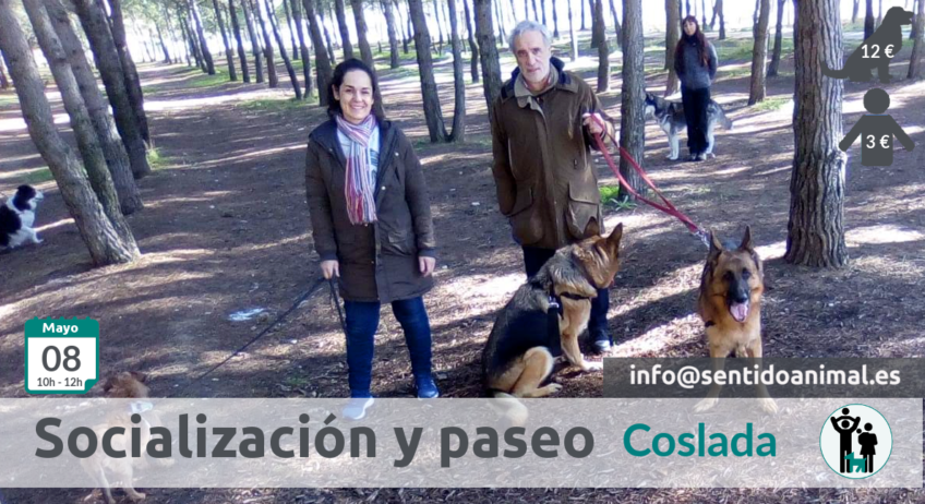 2019-06-05_Coslada salida de socialización canina