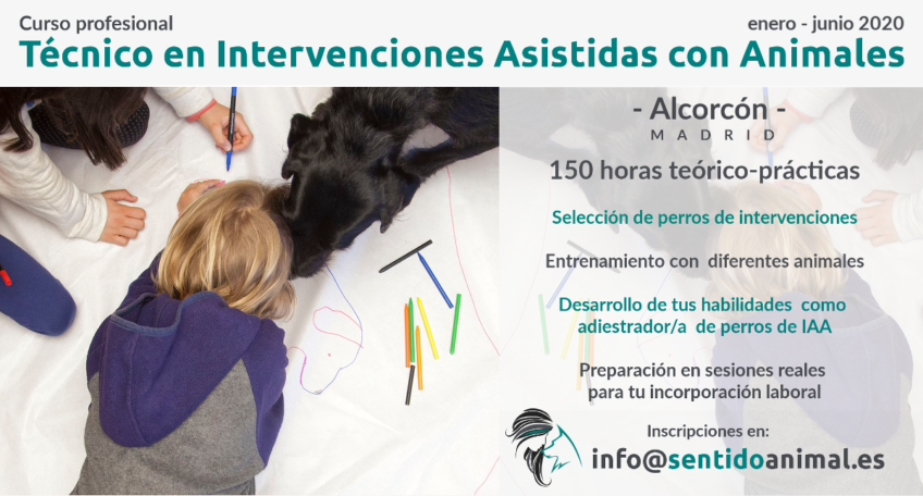 Curso Intensivo Técnico en IAA - Alcorcón, Madrid