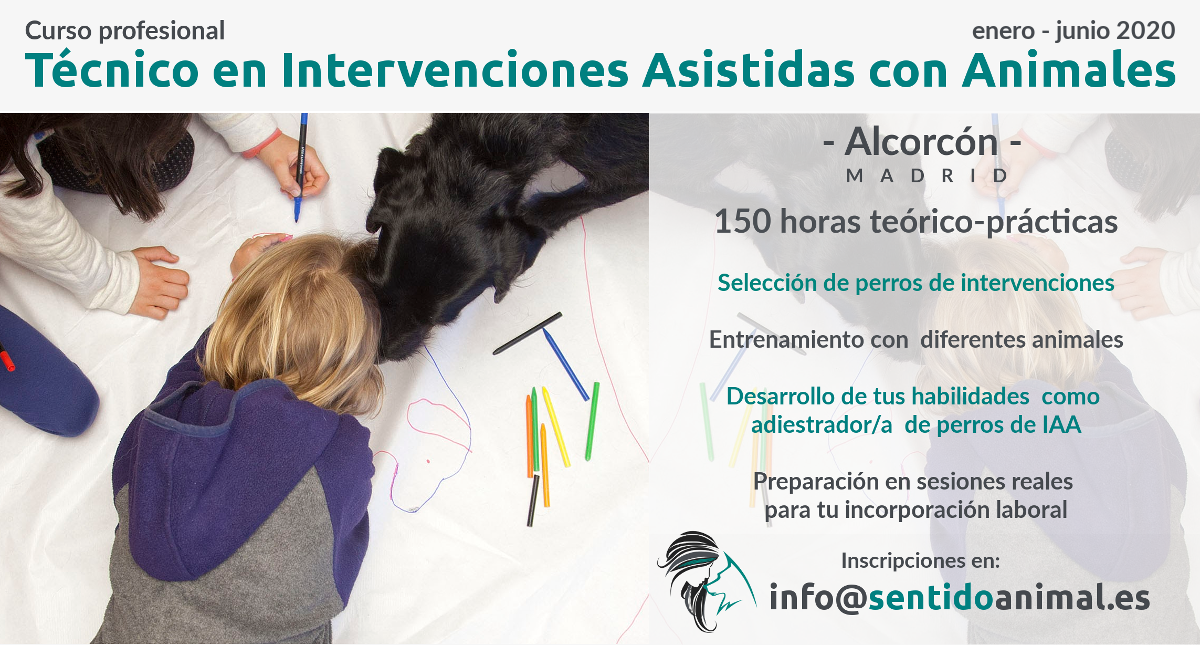 Curso extensivo de técnico en intervenciones asistidas con animales – Madrid 2020