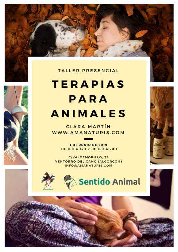 terapias naturales para animales en Sentido Animal