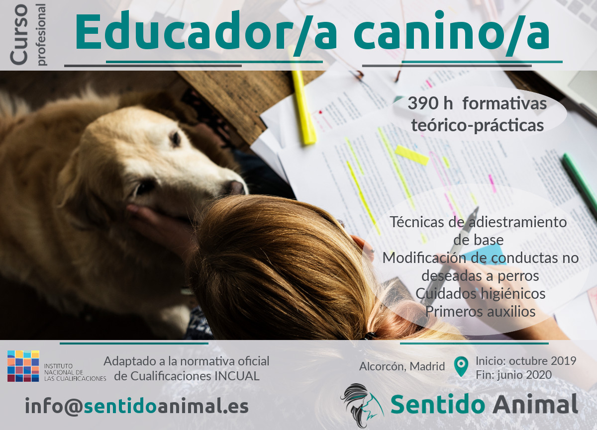Curso profesional de Educador/a Canino/a