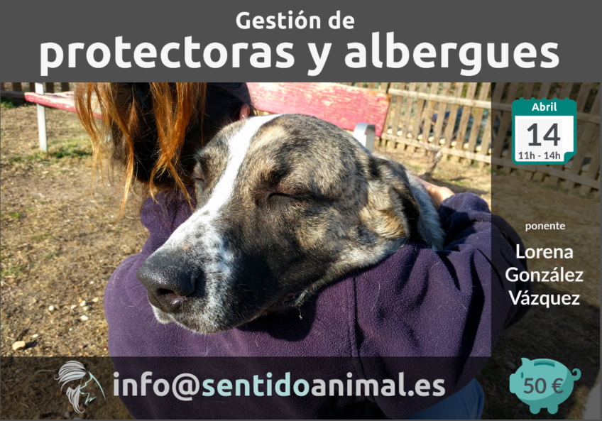 Gestion de Protectoras y Albergues