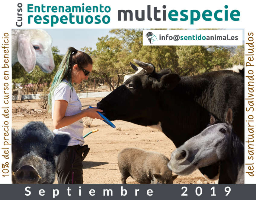 Curso de entrenamiento respetuoso Multiespecie