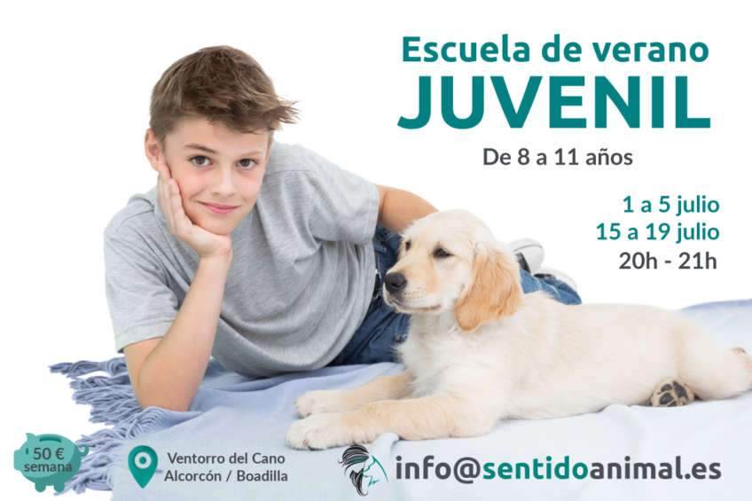 Escuela de verano juvenil