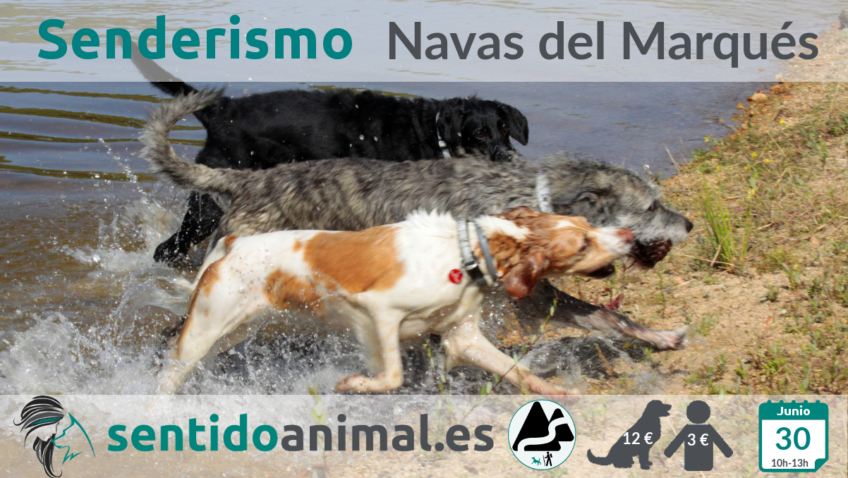 Senderismo con perros - Las Navas del Marqués