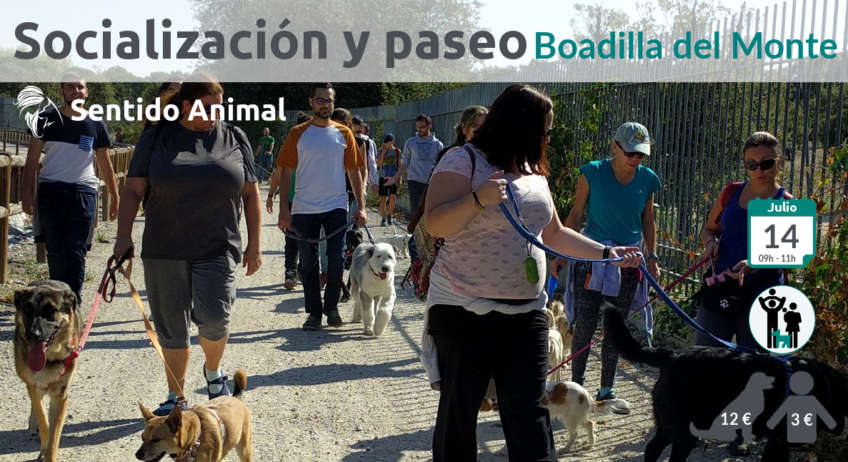 Salida de socialización canina Boadilla del Monte