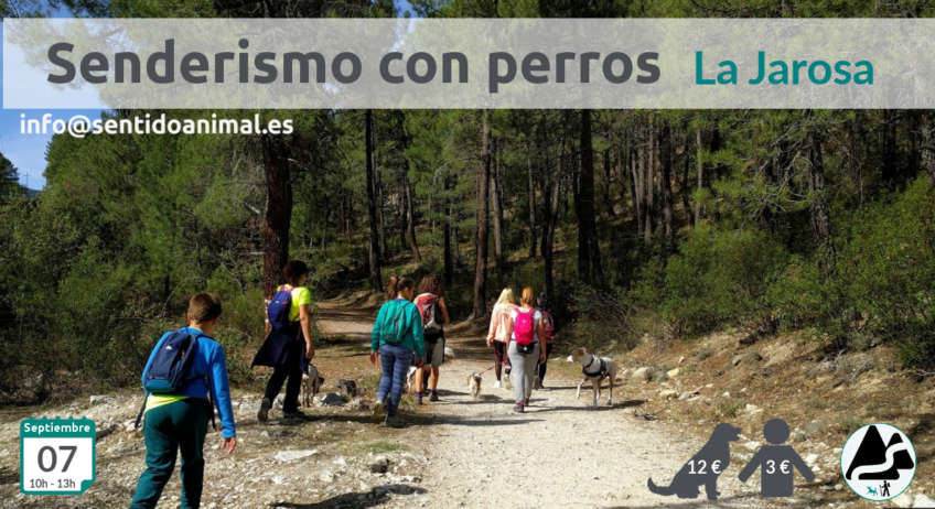 La Jarosa - socialización canina