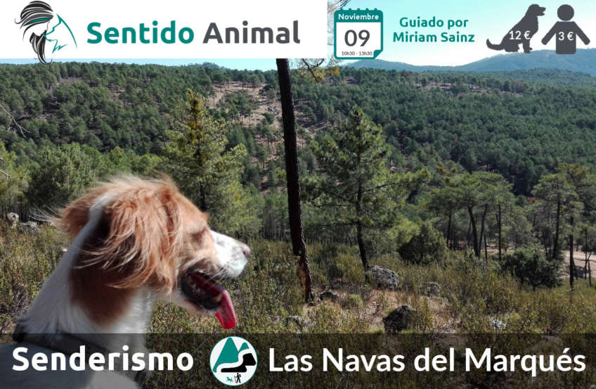 Senderismo con perros - Las Navas del Marqués