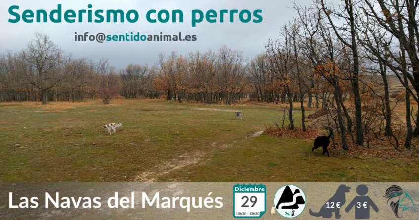 Senderismo con perros - Las Navas del Marqués