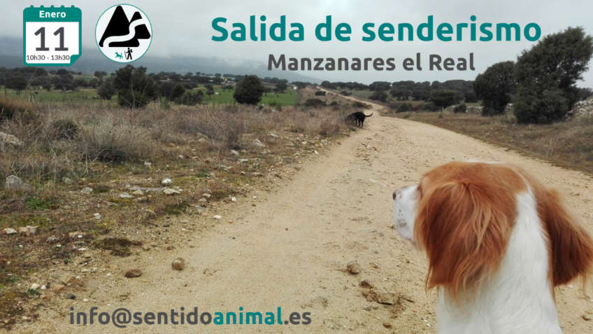 Senderismo con perros - Manzanares El Real