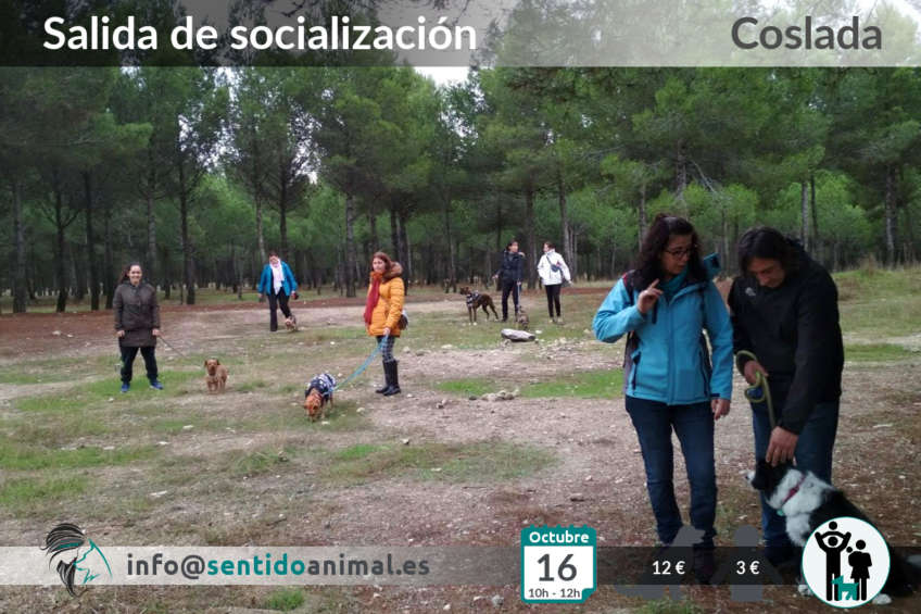 Socialización canina en Coslada