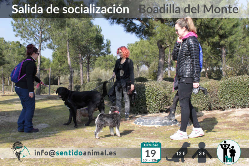 Salida de socialización canina - Boadilla del Monte